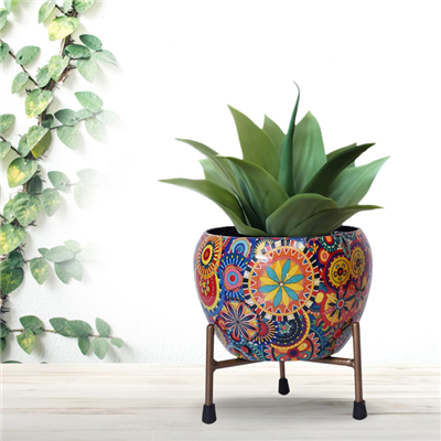 Eco-Friendly Flower Pots – Stylish Planters For Home  And  Gifting